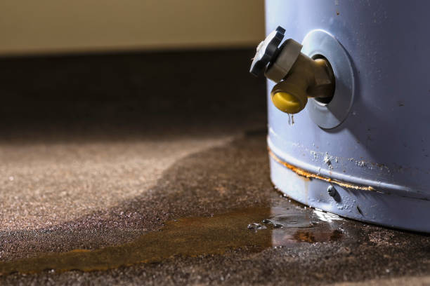Best Sewage cleanup and water damage restoration  in Bedford Heights, OH