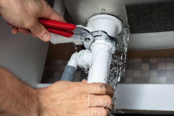 Best Water damage cleanup near me  in Bedford Heights, OH