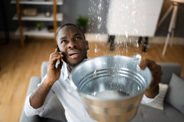 Best Water damage restoration near me  in Bedford Heights, OH