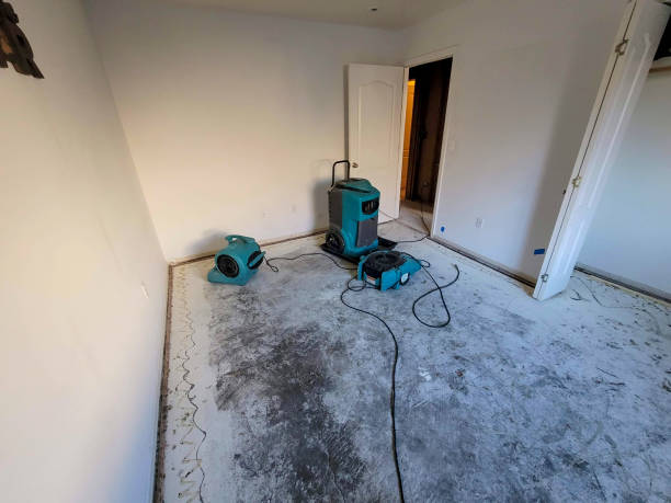 Best Carpet water damage restoration  in Bedford Heights, OH