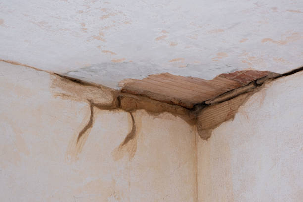 Best Professional water damage repair  in Bedford Heights, OH