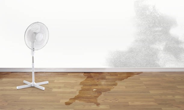 Best Residential water damage restoration  in Bedford Heights, OH