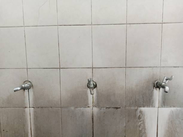 Best Commercial water damage restoration  in Bedford Heights, OH