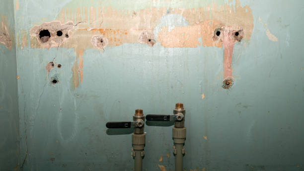 Best Flood restoration services  in Bedford Heights, OH