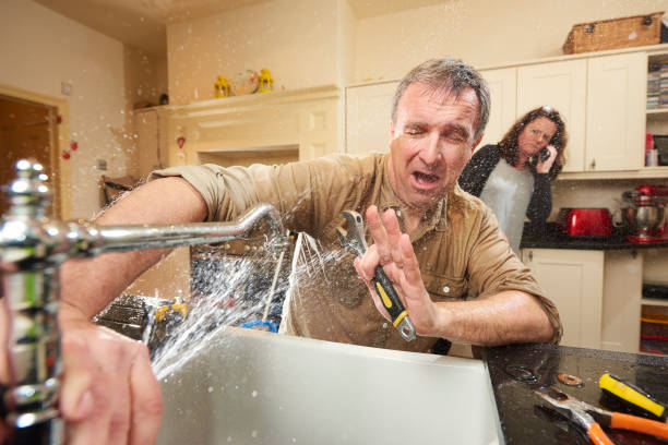 Best Carpet water damage restoration  in Bedford Heights, OH